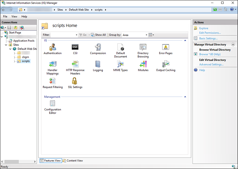 Screen capture: Screen of the scripts in Internet Information Services Manager