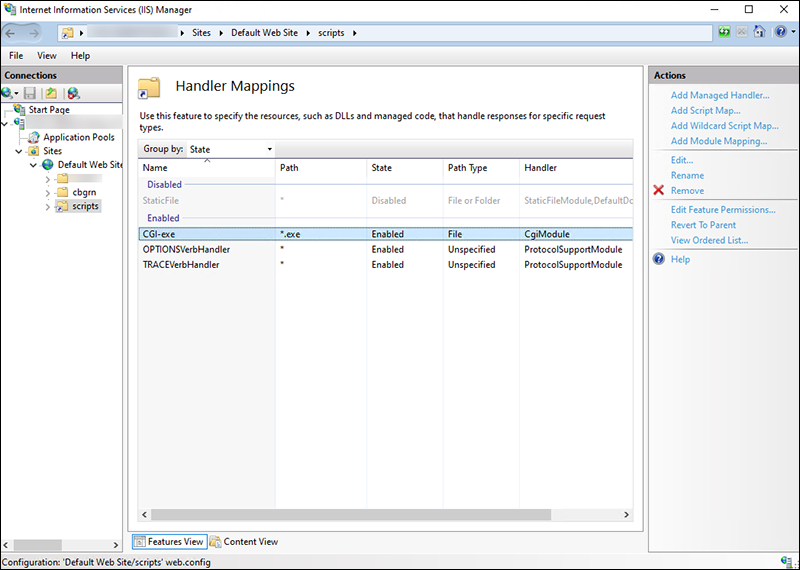Screen capture: Screen of the handler mapping in Internet Information Services Manager