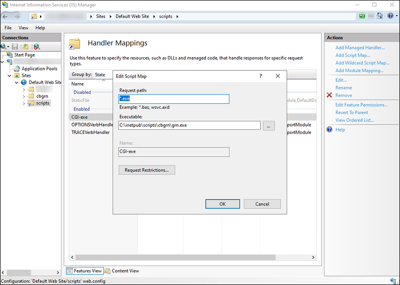 Screen capture: Screen of the module map in Internet Information Services Manager