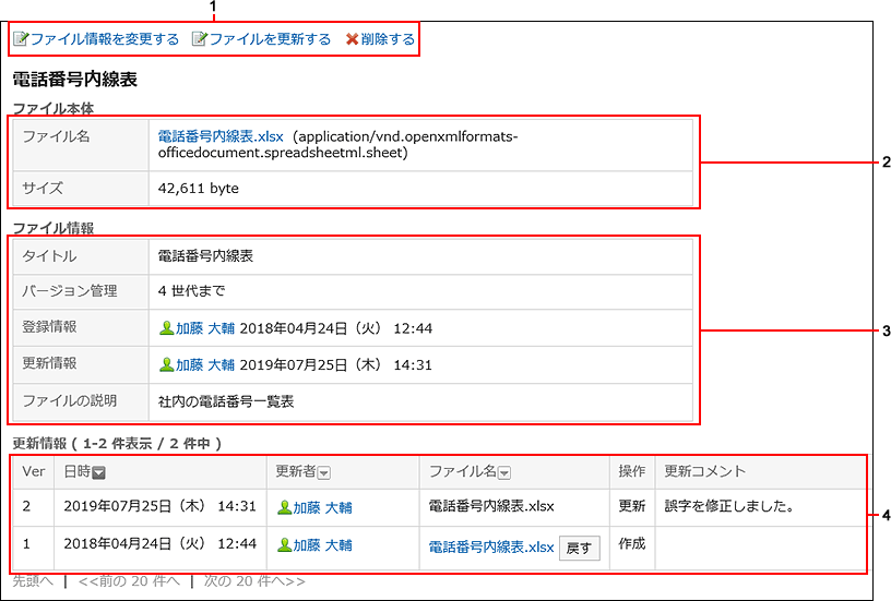 "File Details" screen