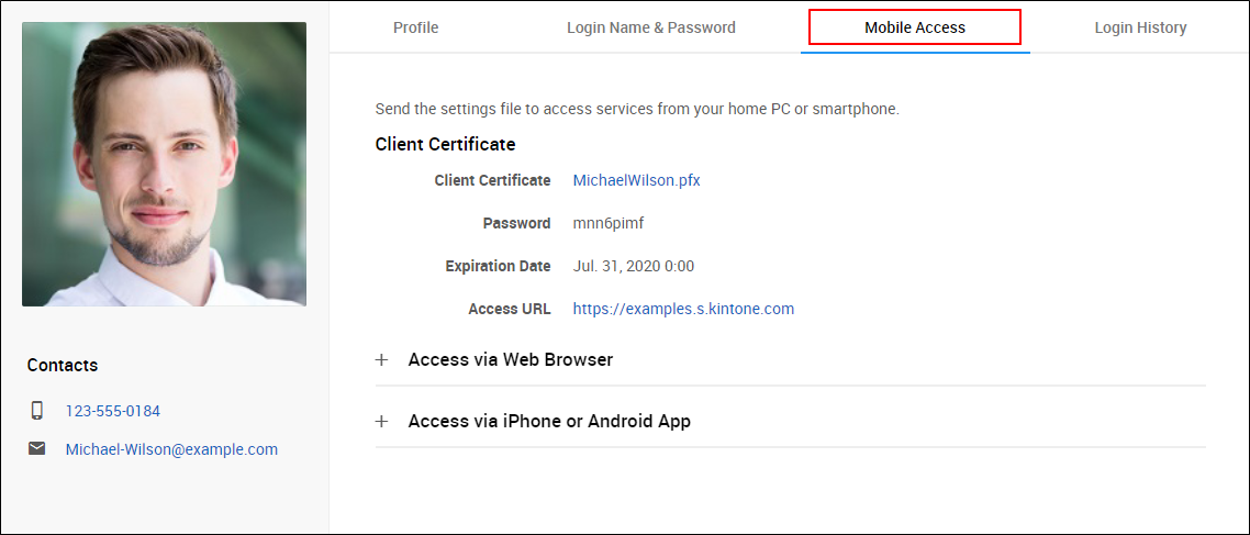 Screenshot: "Mobile access" is highlighted