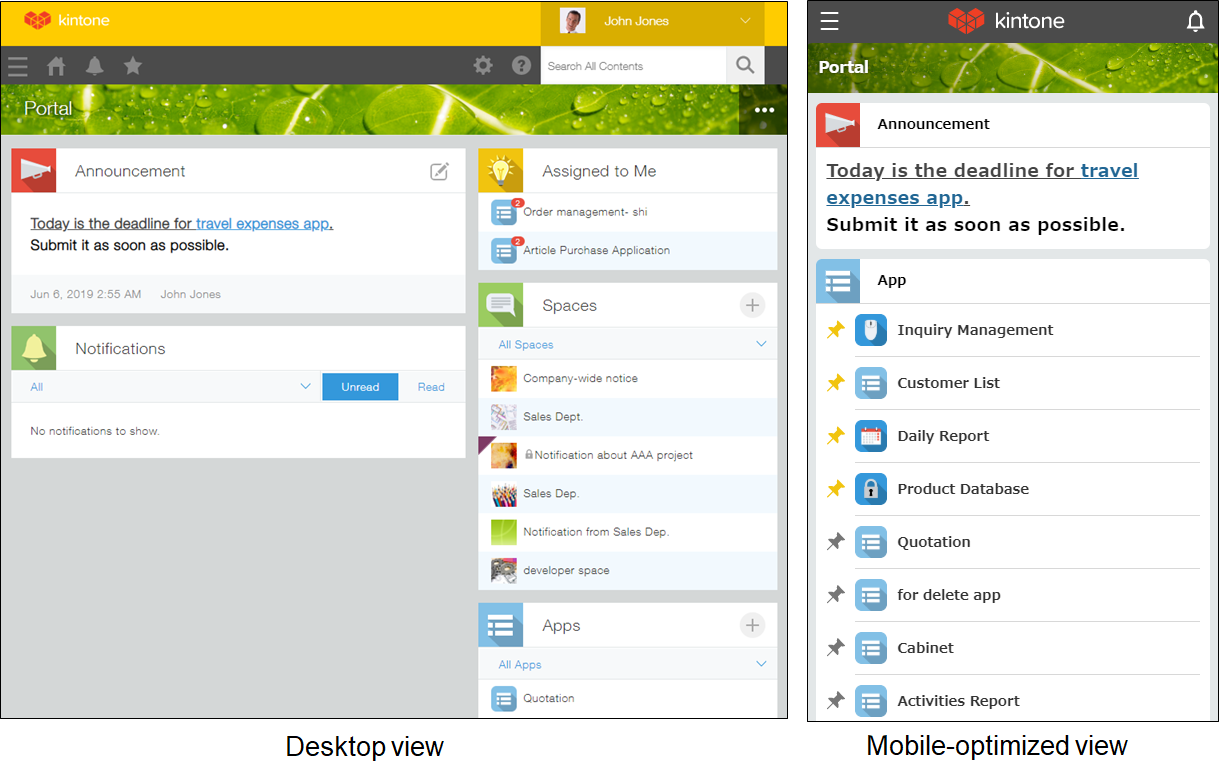 Screenshot: Comparison of the desktop view and mobile-optimized view