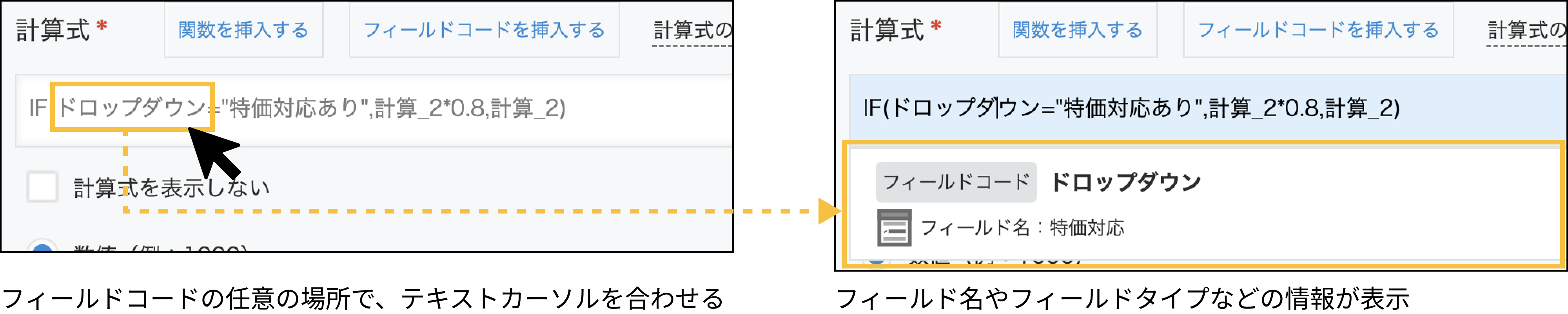 フィールドコードの任意の場所で、テキストカーソルを合わせると、フィールド名やフィールドタイプなどの情報が表示されます。