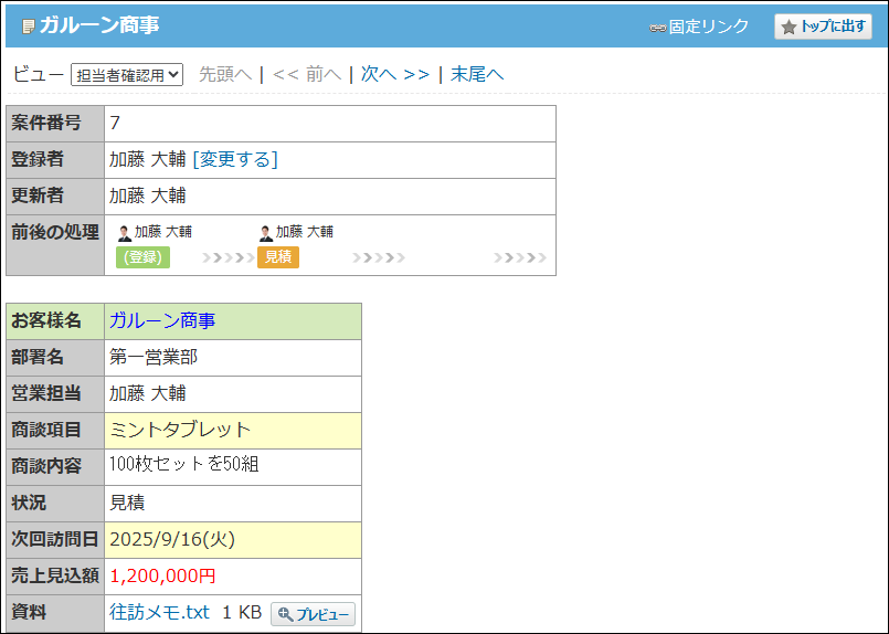 スクリーンショット：ビュー（詳細・登録）画面で「担当者確認用」というビューが表示されている