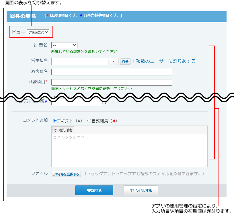 スクリーンショット：レコードの登録画面