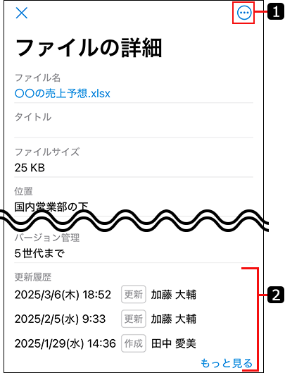 スクリーンショット：ファイルの詳細画面のイメージ