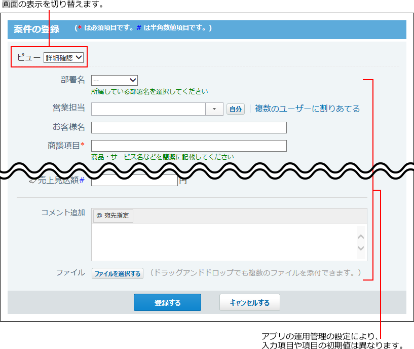 スクリーンショット：レコードの登録画面